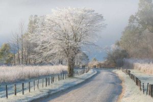 Chris Moore - A Frosty Morning