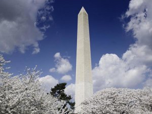 Carol Highsmith - Washington Monument and cherry trees, Washington, D.C.