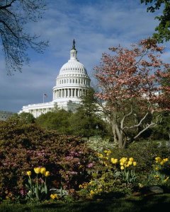 Carol Highsmith - U.S. Capitol, Washington, D.C. Number 3