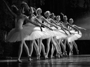 Anonymous - Swan Lake ballet