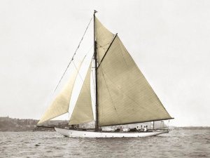 Anonymous - Yacht on Sydney Harbour