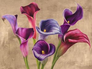 Jenny Thomlinson - Multi-colored Callas