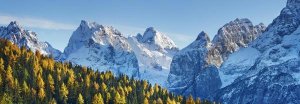 Frank Krahmer - Larch forest and Cima bel Pra, Italy