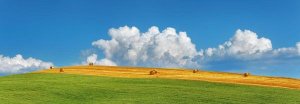 Frank Krahmer - Corn field harvested, Tuscany, Italy