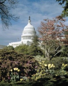 Carol Highsmith - U.S. Capitol, Washington, D.C. Number 3 - Vintage Style Photo Tint Variant