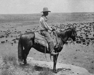 Erwin E. Smith - A Texas cowboy, 1907
