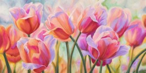 Cynthia Ann - Tulips in Wonderland