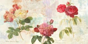 Eric Chestier - Redoute's Roses 2.0