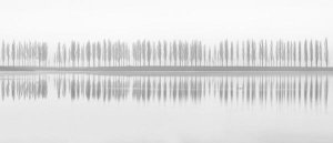 Fotoea - Misty Alley