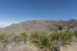 Carol Highsmith - Scenery in Big Bend National Park, TX