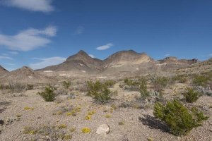 Carol Highsmith - Scenery in Big Bend National Park, TX