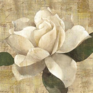 Albena Hristova - Gardenia Blossom on Script