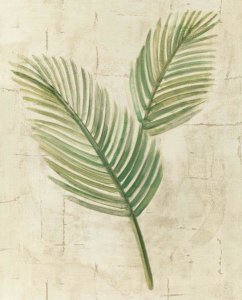 Albena Hristova - Sago Palm Leaves Neutral Crop