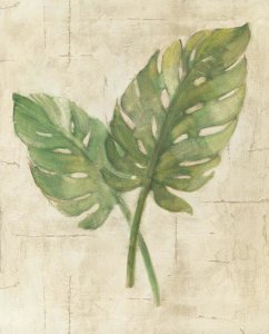 Albena Hristova - Monstera Leaves Neutral Crop