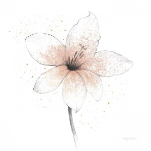 Avery Tillmon - Coral Graphite Flower II