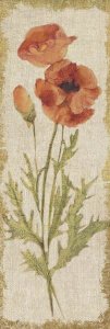 Cheri Blum - Poppy Panel on White Vintage