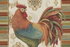 Daphne Brissonnet - Rooster Rainbow IA