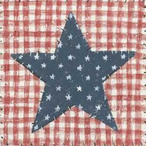 David Carter Brown - Americana Quilt II