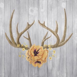 Elyse DeNeige - Antlers and Poppies II Sq Spice