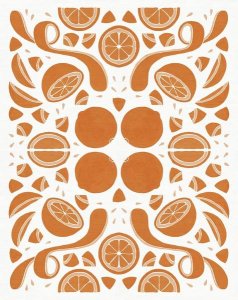 Elyse DeNeige - Retro Orange Otomi Monotone