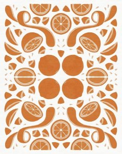 Elyse DeNeige - Retro Orange Otomi Monotone