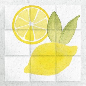 Elyse DeNeige - Citrus Tile VI