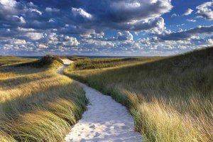 Katherine Gendreau - Philbin Beach Path