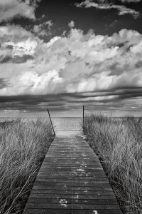 Katherine Gendreau - Oak Bluffs Beach Path