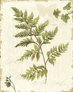 Lisa Audit - Ivies and Ferns I no Dragonfly