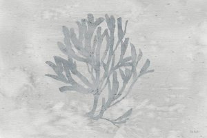 Lisa Audit - Silver and Gray Water Coral III