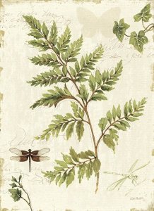 Lisa Audit - Ivies and Ferns I