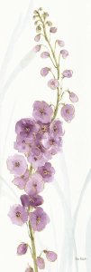 Lisa Audit - Rainbow Seeds Flowers VII