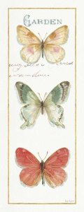 Lisa Audit - Rainbow Seeds Butterflies II