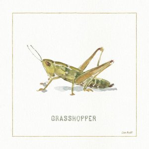 Lisa Audit - My Greenhouse Grasshopper