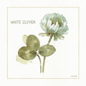 Lisa Audit - My Greenhouse Clover