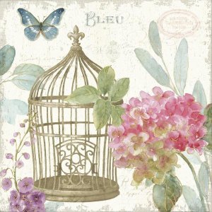 Lisa Audit - Rainbow Seeds Floral Birdcage II v2