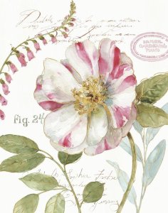 Lisa Audit - Rainbow Seeds Botanical II