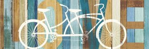 Michael Mullan - Beachscape Tandem Bicycle Love