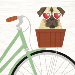 Michael Mullan - Beach Bums Pug Bicycle I