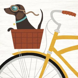 Michael Mullan - Beach Bums Dachshund Bicycle I