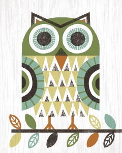 Michael Mullan - Folk Lodge Owl Earth