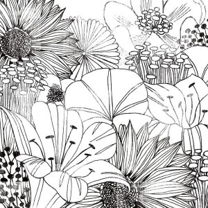 Michael Mullan - Contemporary Garden I Black and White