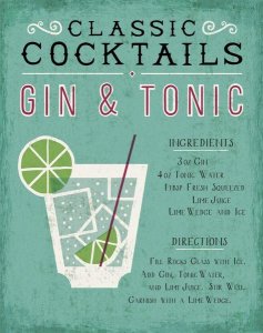 Michael Mullan - Classic Cocktail Gin and Tonic