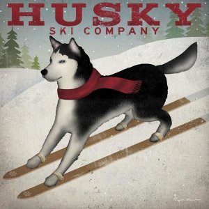 Ryan Fowler - Husky Ski Co