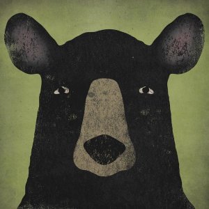 Ryan Fowler - The Black Bear