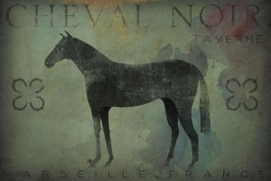 Ryan Fowler - Cheval Noir v1