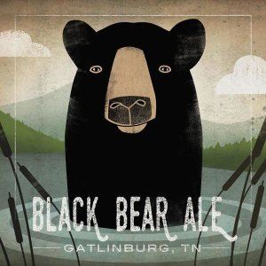 Ryan Fowler - Skinny Dip Black Bear Ale