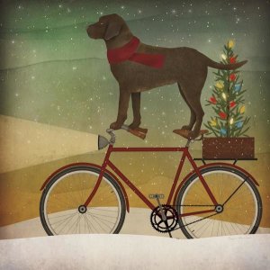 Ryan Fowler - Brown Lab on Bike Christmas