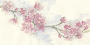 Chris Paschke - Cherry Blossoms II Crop