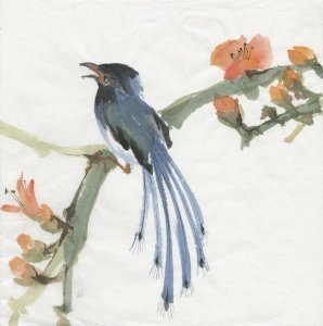 Chris Paschke - Formosan Blue Magpie